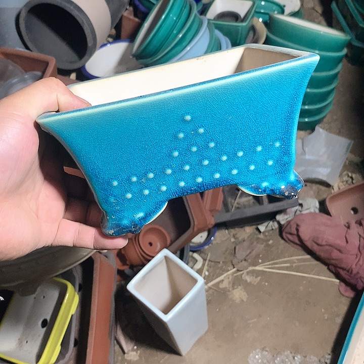 紫砂哈哈真的是太给力太