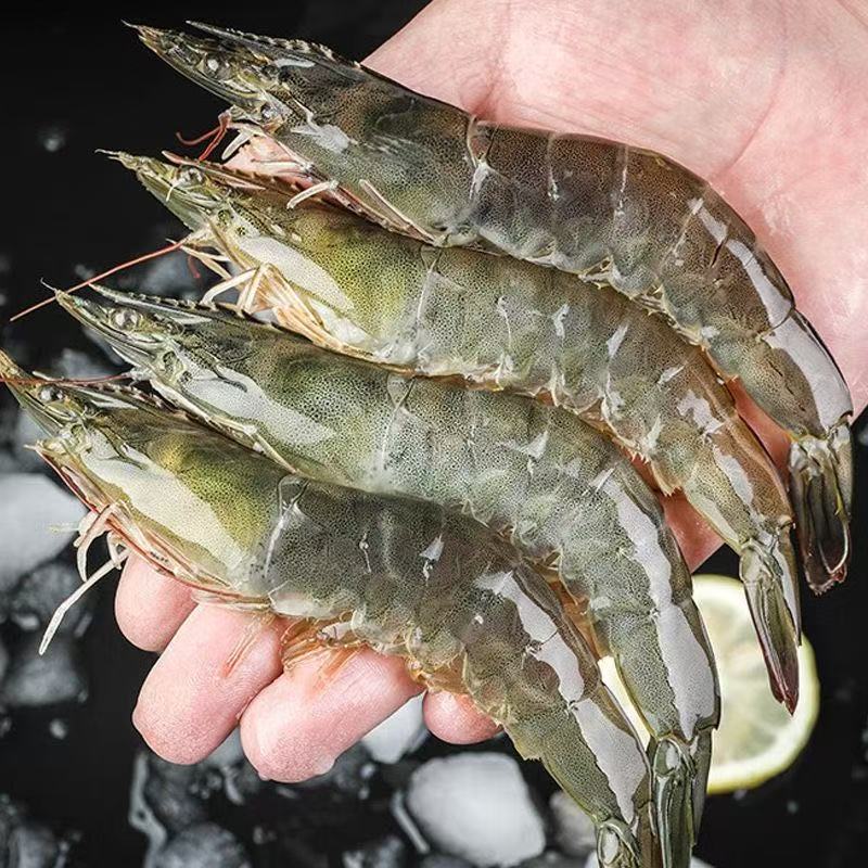 连云港淡水大虾3斤活虾速冻白对虾明虾非海捕海虾基围虾国产塘虾4
