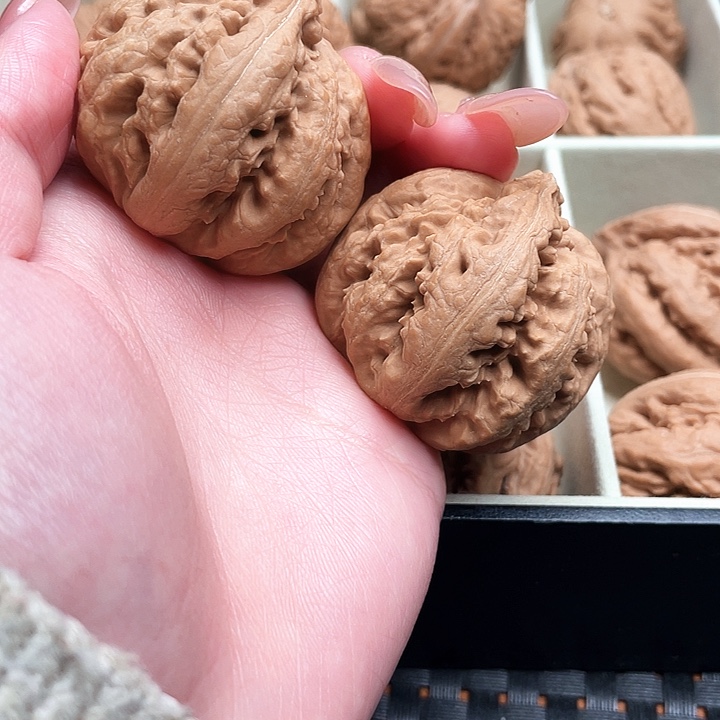 独***狼霸王龙核桃尺寸41