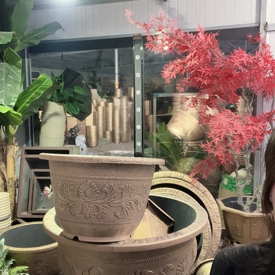 复合盆景制作方法