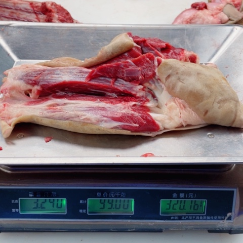 【闪购商品】冷冻保存30天包装河北省