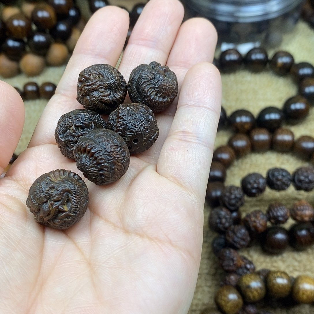 C***海手串/手链贡木巴布亚新几内亚贡