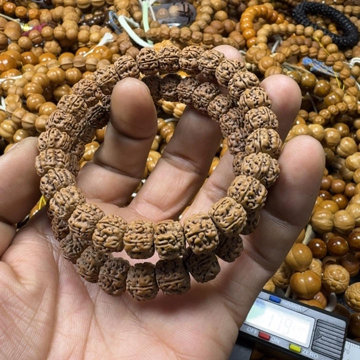 手串猴头核桃金刚