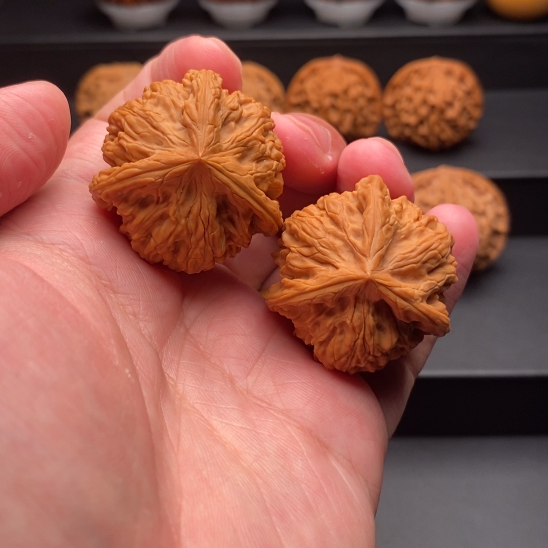 文玩核桃把件37尺御龙粗筋三棱