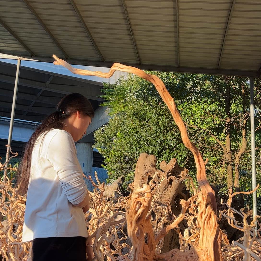 巧****木198积极积极积极积极积极