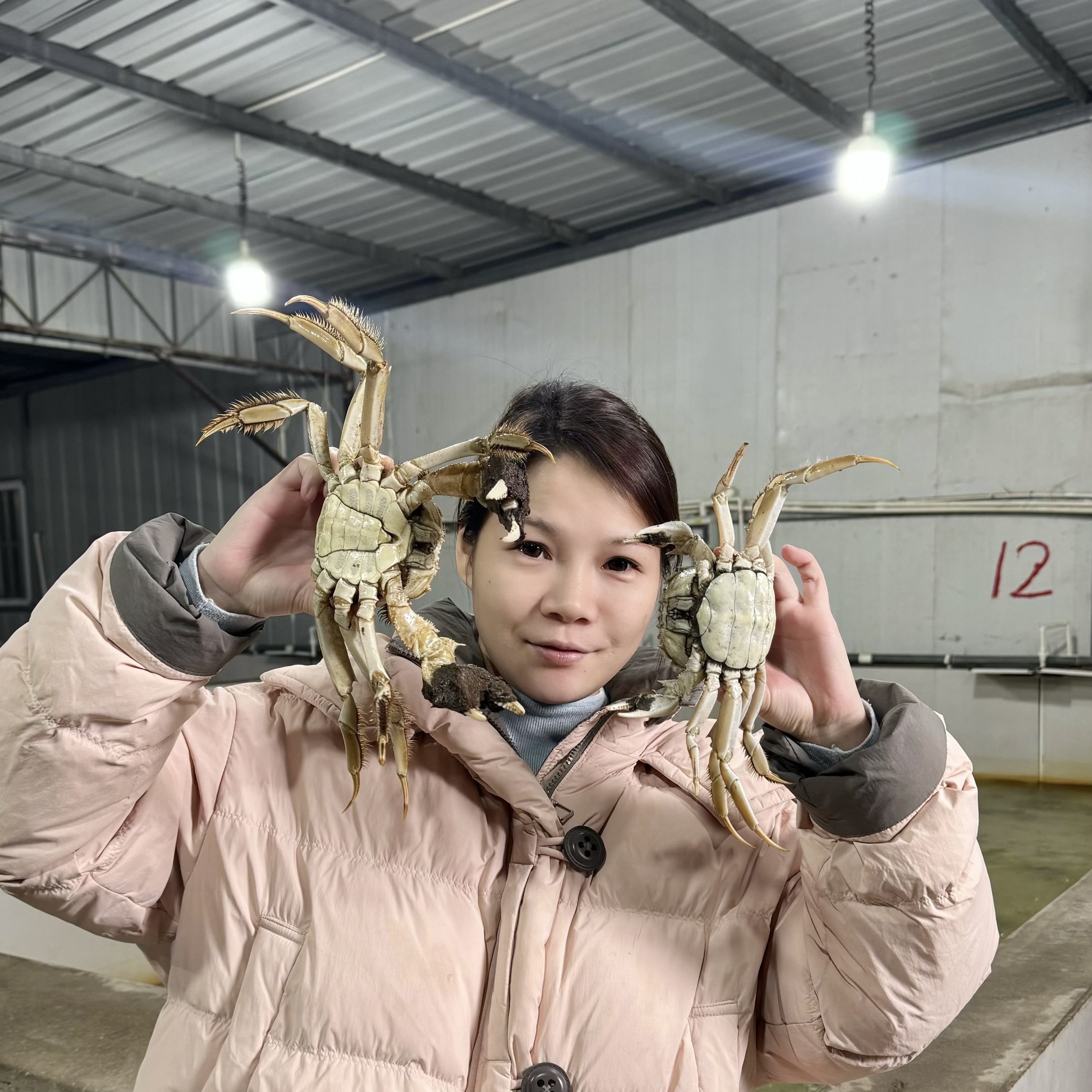 【活蟹】江苏精品大闸蟹公母搭配净重2-3斤/公4两起 母3两起5-12只