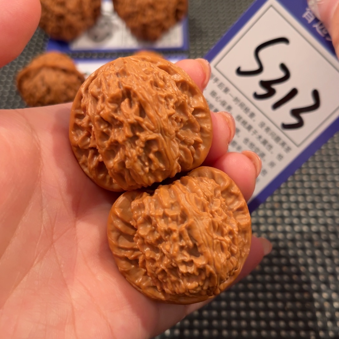 核桃S313号白狮子40尺