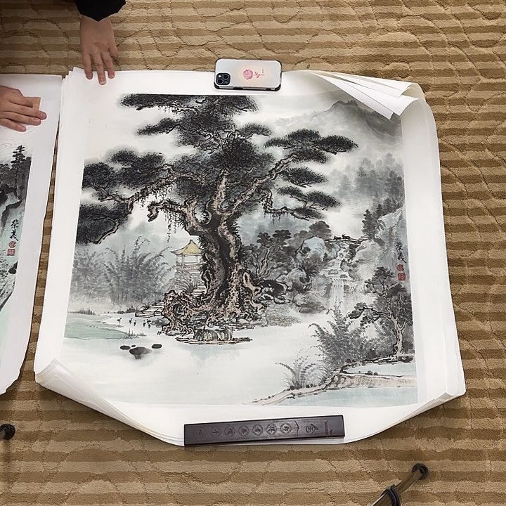 国画石*利花鸟的翅膀和羽毛的羽毛