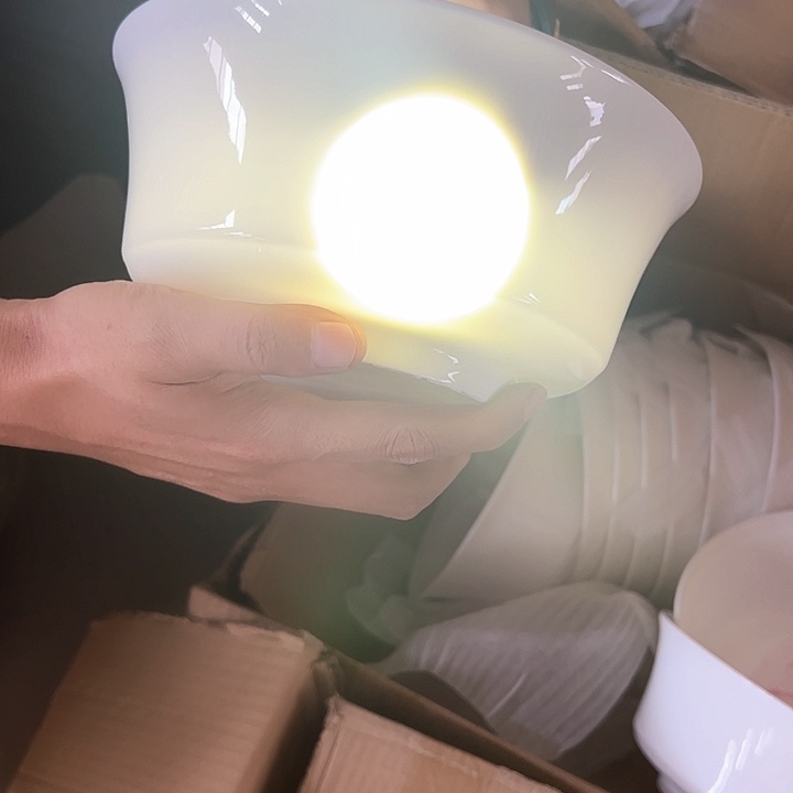 微瑕不退不换不补发 骨瓷8英寸汤碗2只