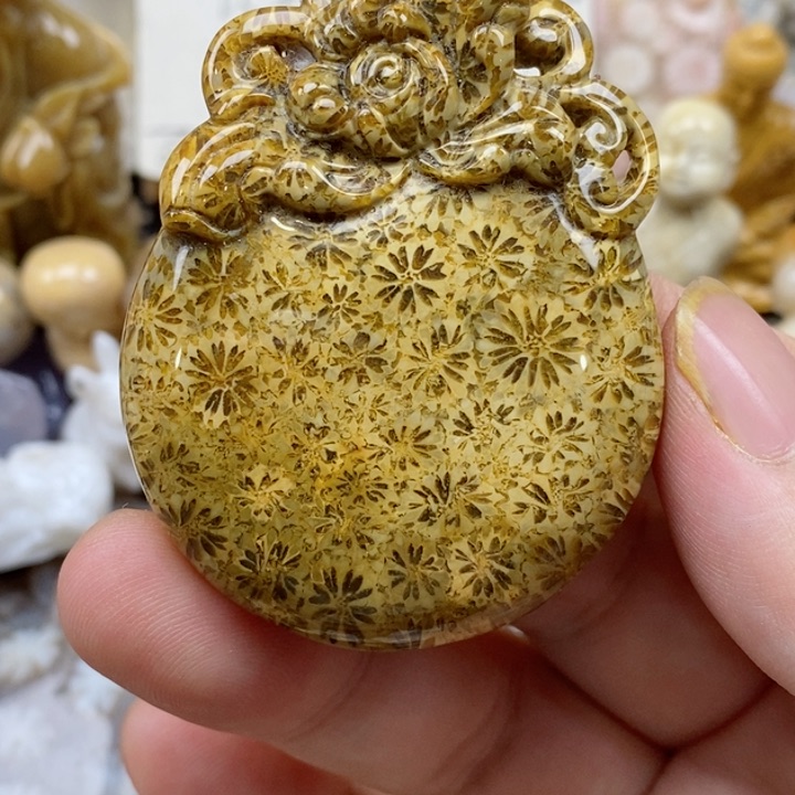颈饰未镶嵌硅化珊瑚（珊瑚玉）
