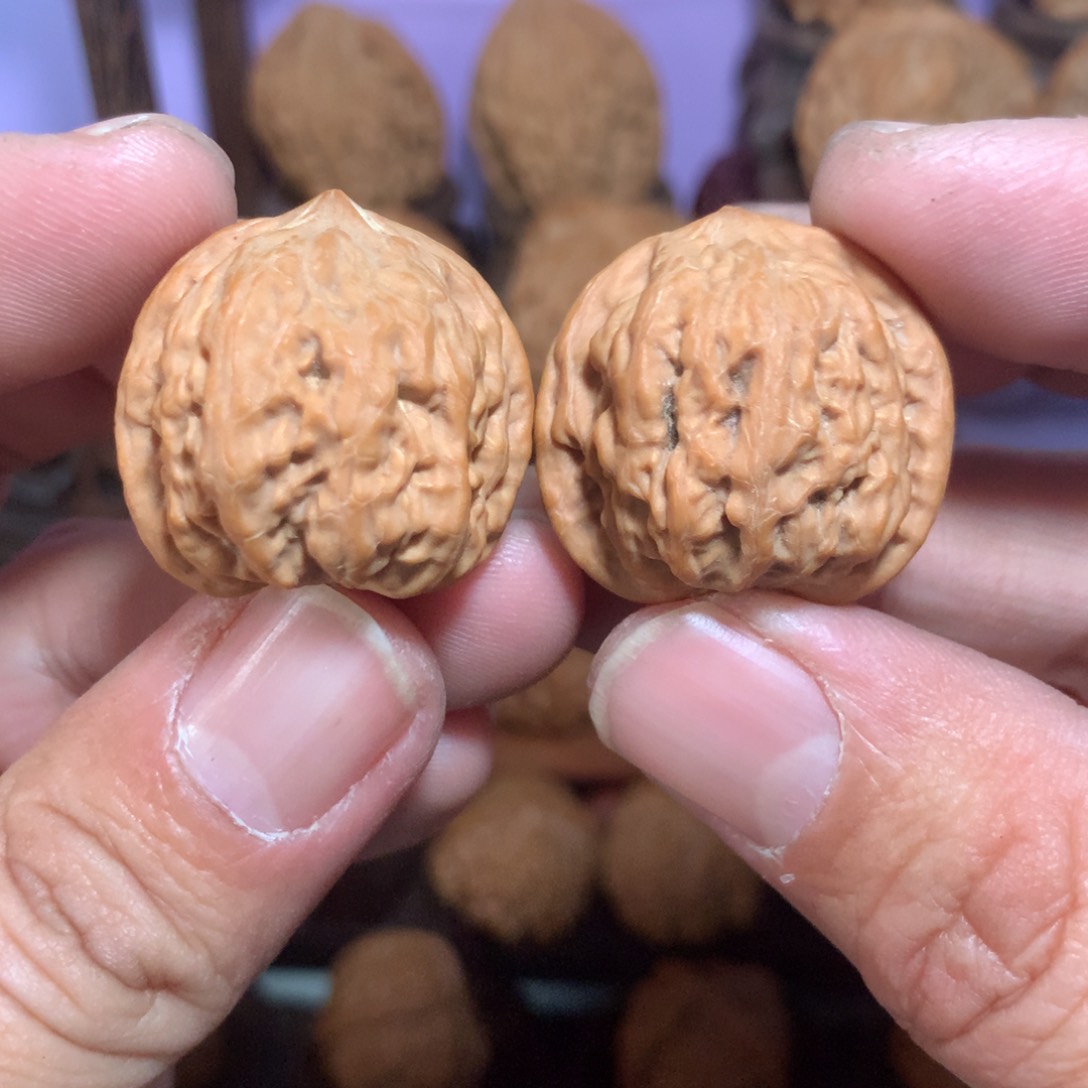 文玩核桃把件金丹手捻