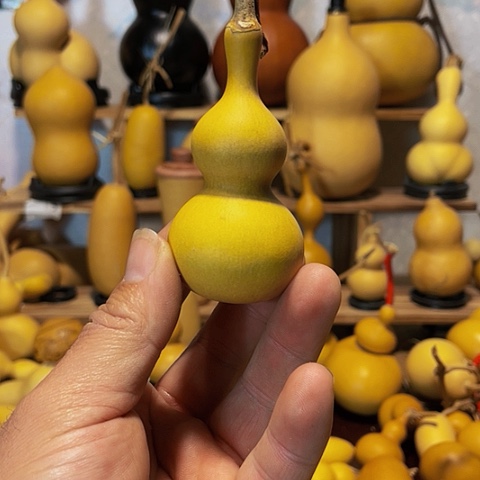 精品厚皮小八宝葫芦