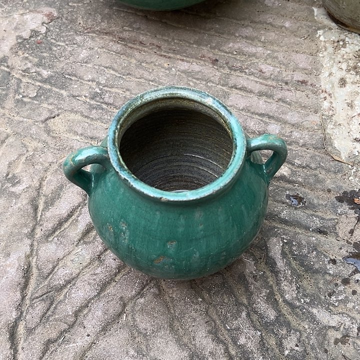 无花朵玫瑰花玫瑰花玫瑰花