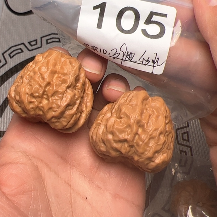 核桃蛤蟆头105号