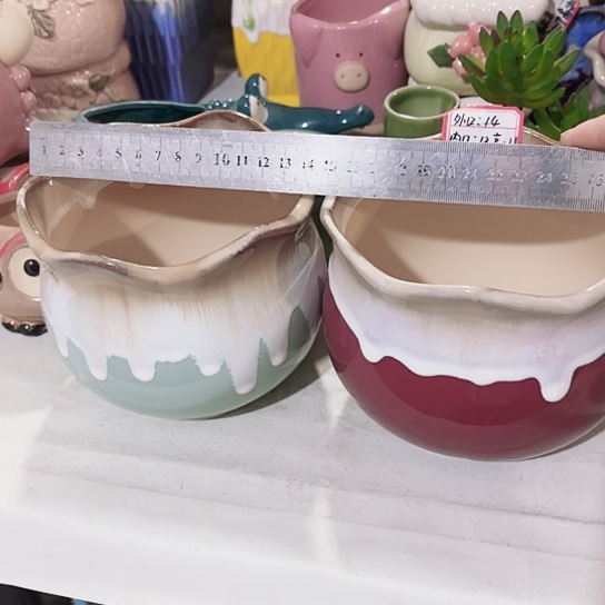 花盆111111111111111