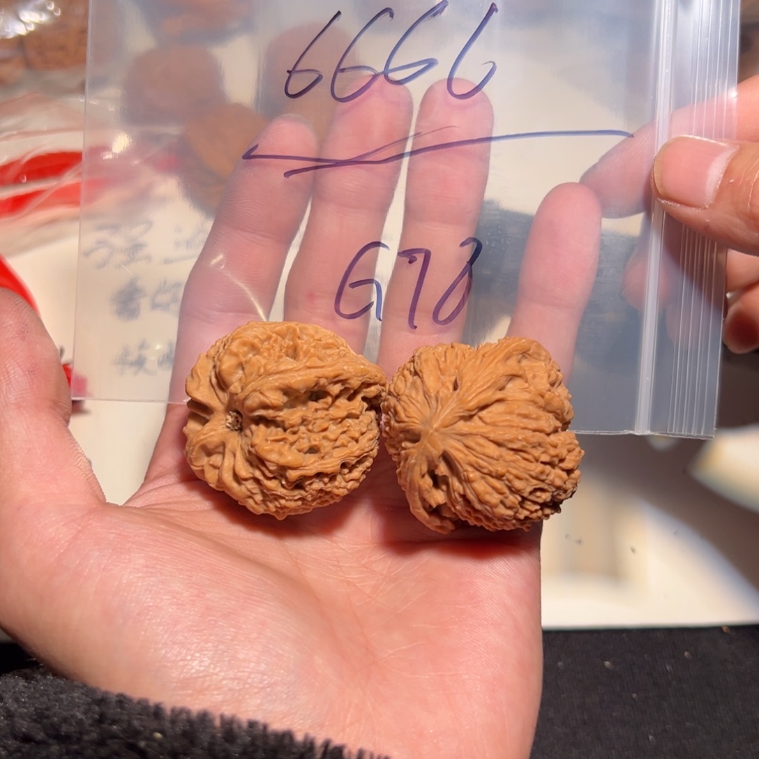 6***8核桃手串/手链6666