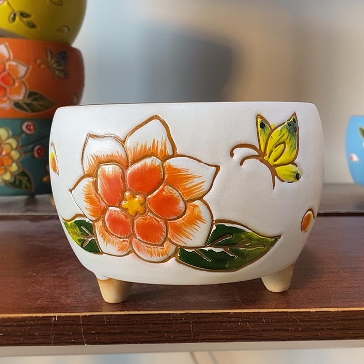 韩式多肉植物花盆