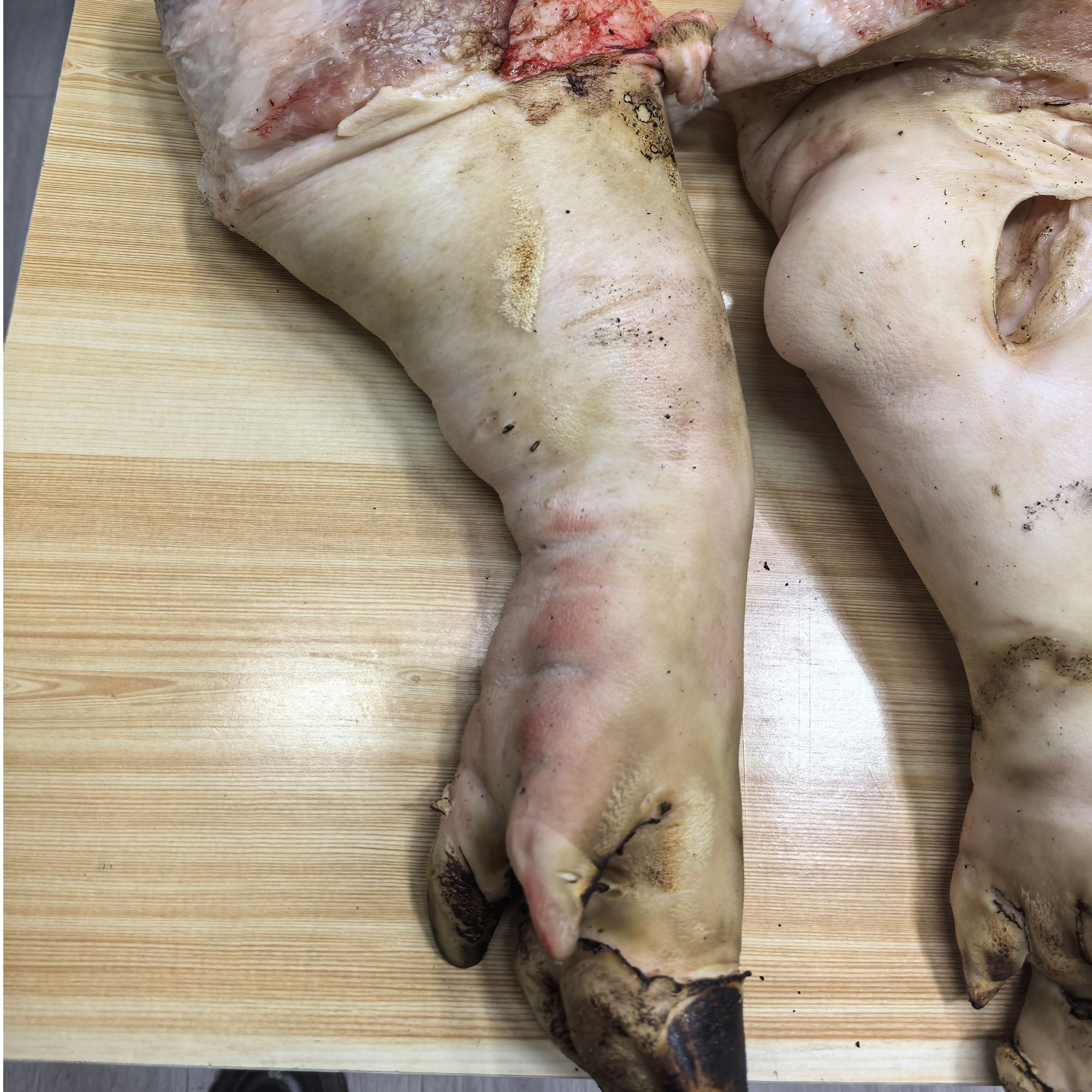 高头窑猪大蹄子5斤