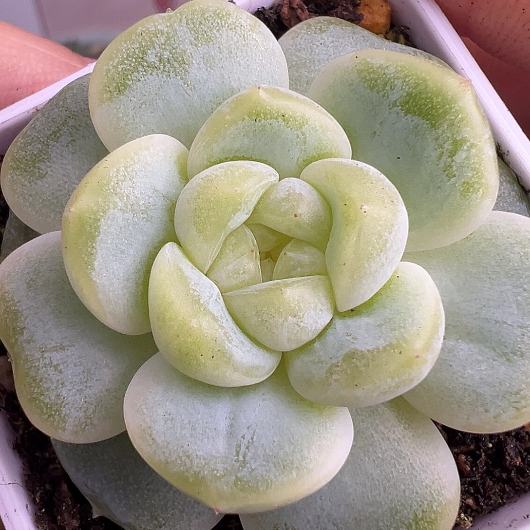 财富密码隐藏款。 