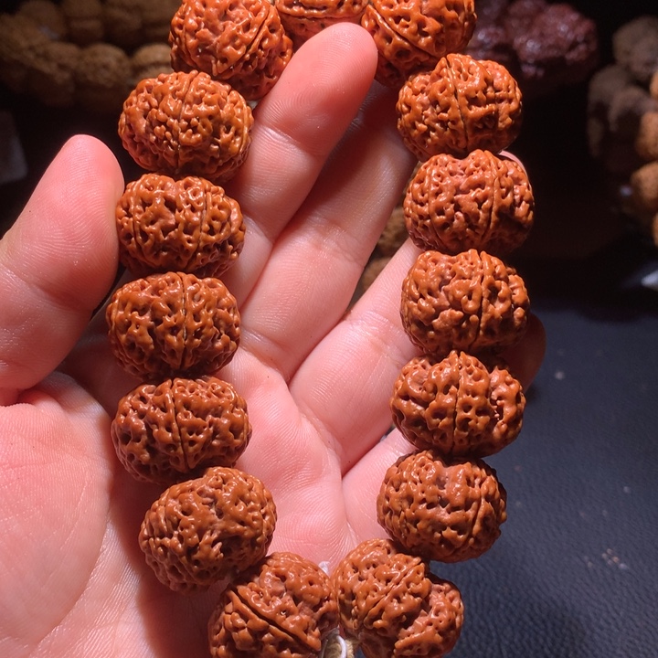 菩提籽类23+龙骨梅花