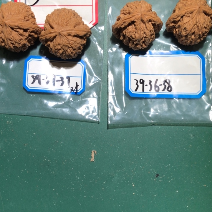 文玩核桃吊坠南疆77
