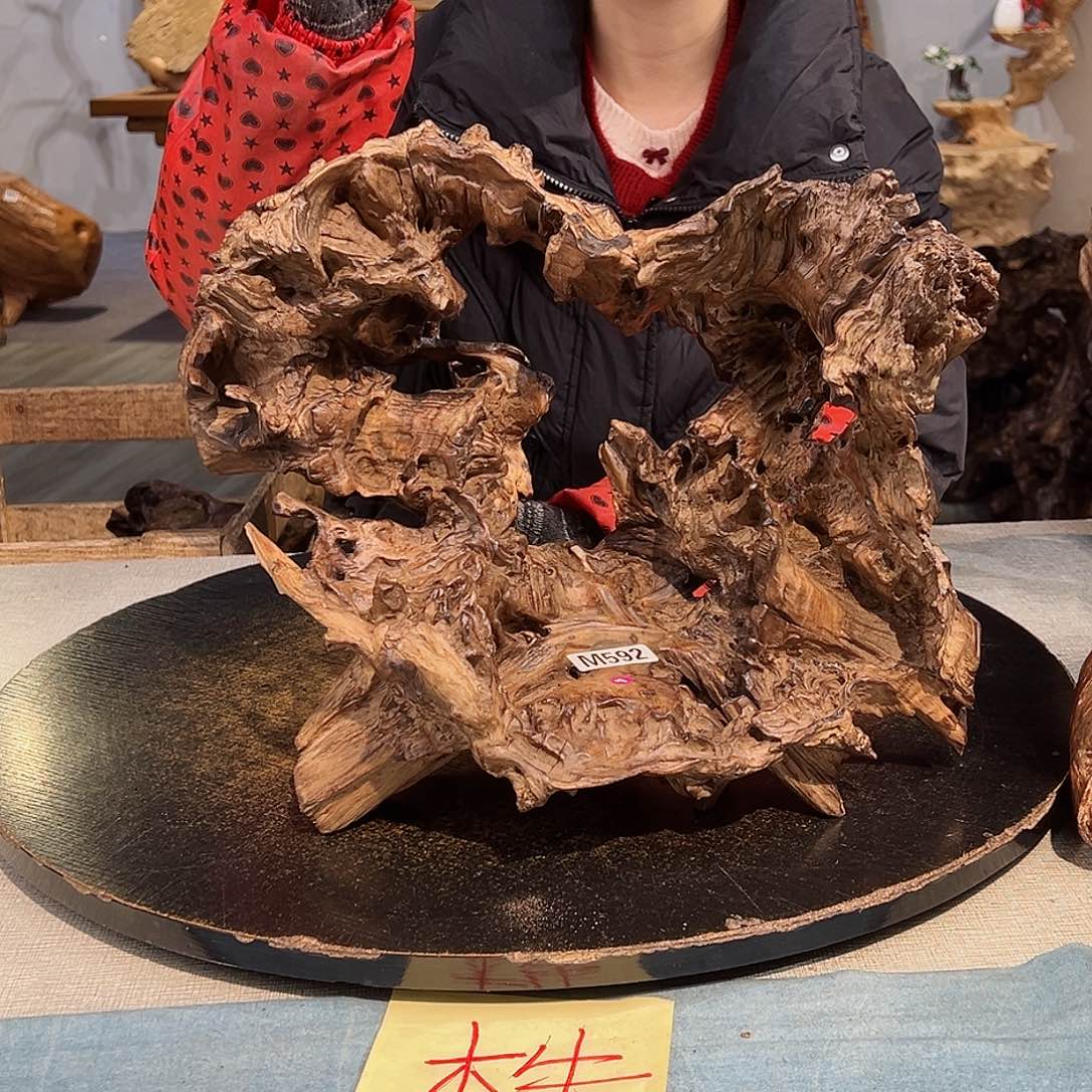 木A***l592 hvhghvgghhhhh