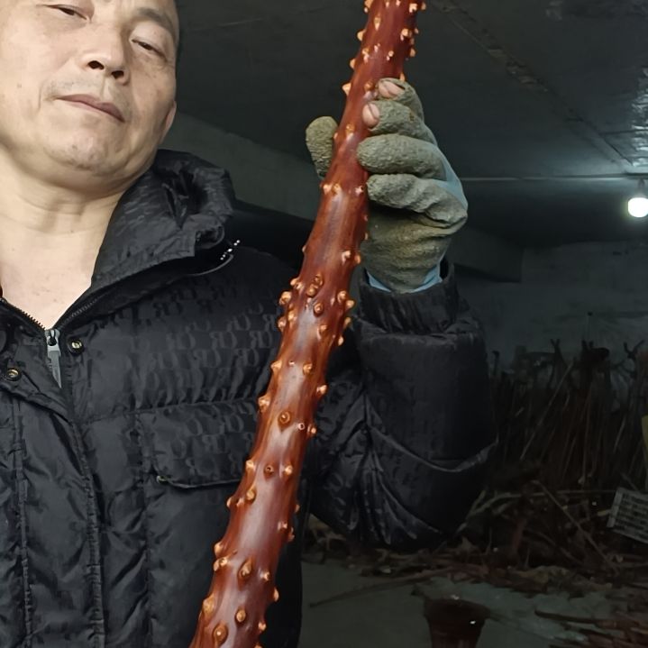 稳定木牛**爷贵州檬子木   铁马鞭   根艺  半成品