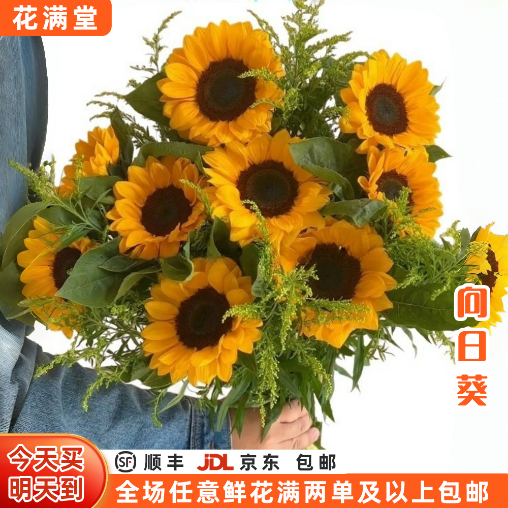 【次日达】油画向日葵3枝黑心向日葵混发鲜切花生活鲜花·基地直发·鲜切花批发·生活鲜切花次日达