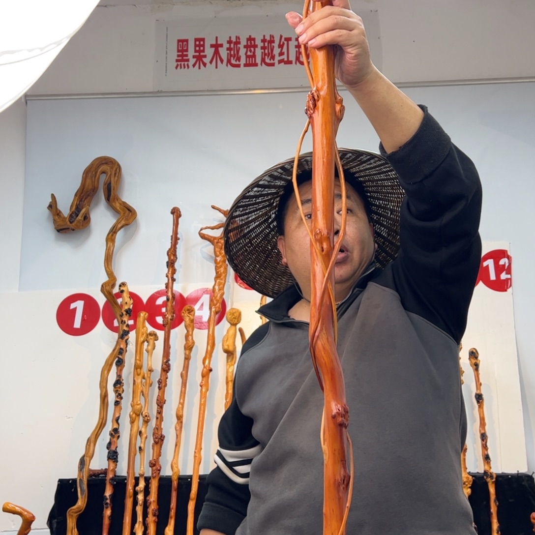 老***四黑果木其他黑果木829