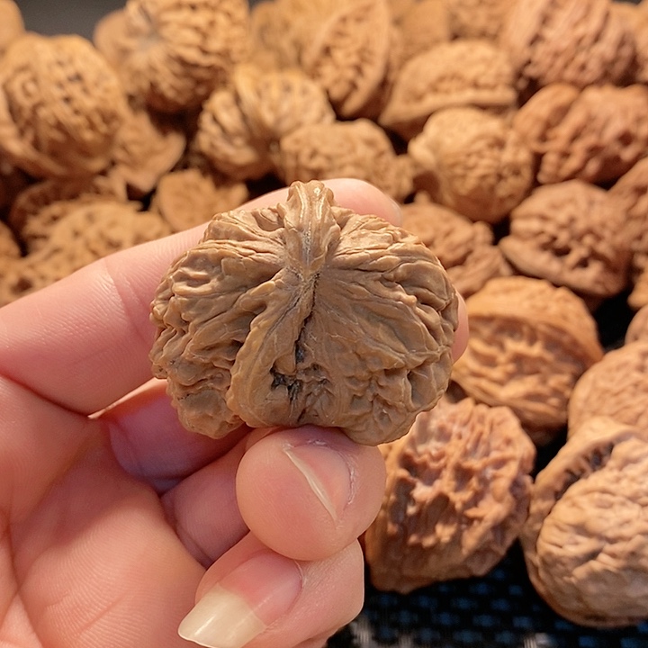 把件文玩核桃白师子半壁小鹰嘴