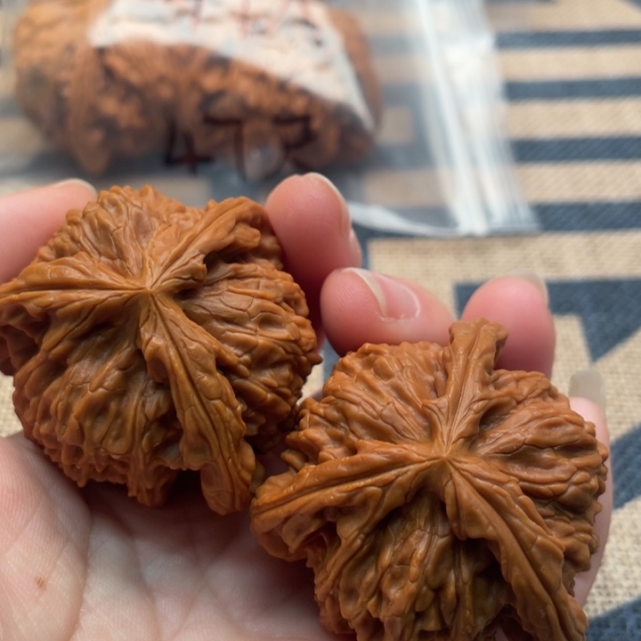 清***月核桃白狮子44核桃