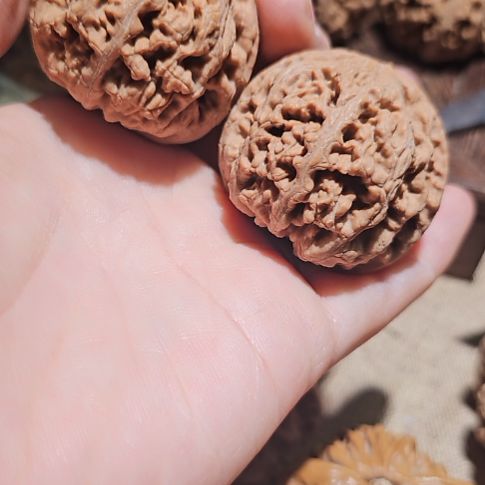 吊坠文玩核桃43粗心