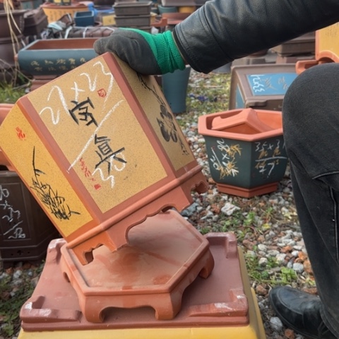 红陶紫砂花盆盆景盆栽