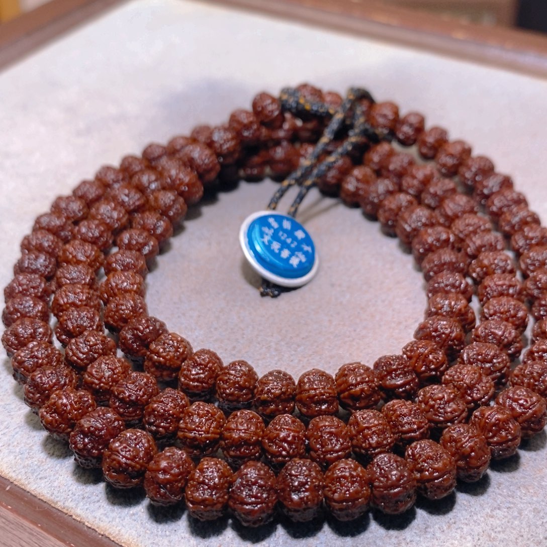 用***7菩提籽类老树梅花108棵 6瓣