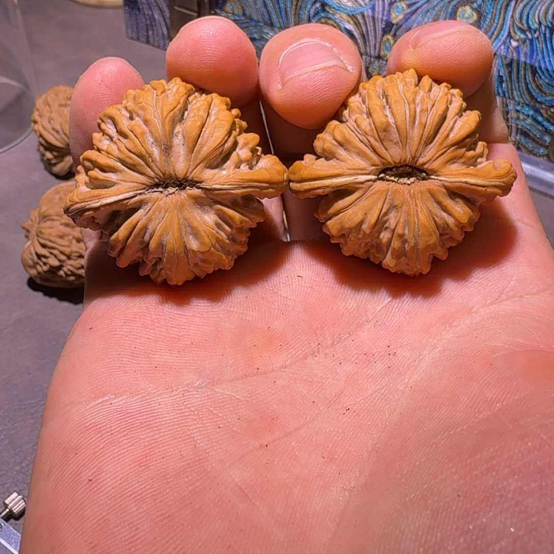 夏****文玩核桃吊坠42全品楼子011