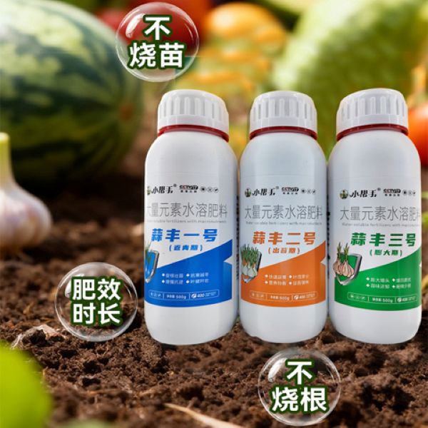 大蒜抗寒促根壮苗快速返青膨大增头水溶肥料