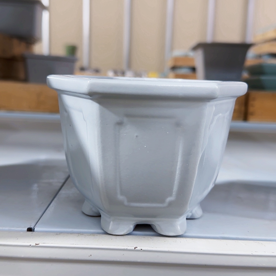 陶瓷花盆特价上新