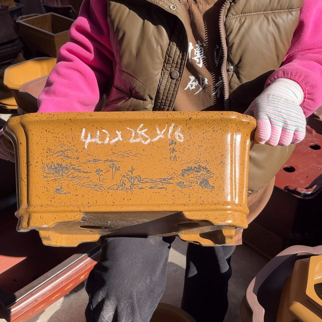 花盆紫砂盆景艺术