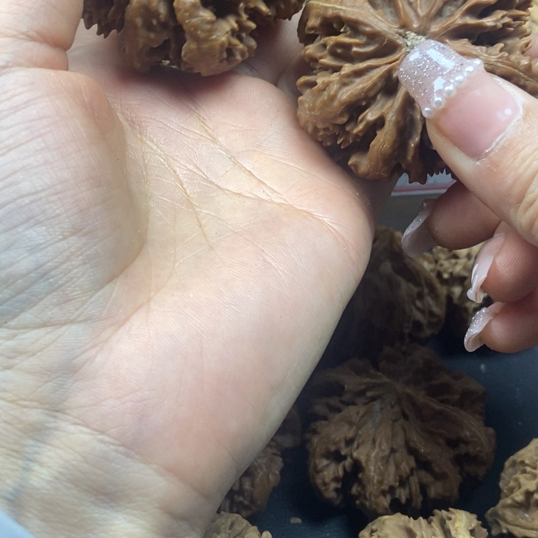 桃核吊坠少*秦岭霸王花50