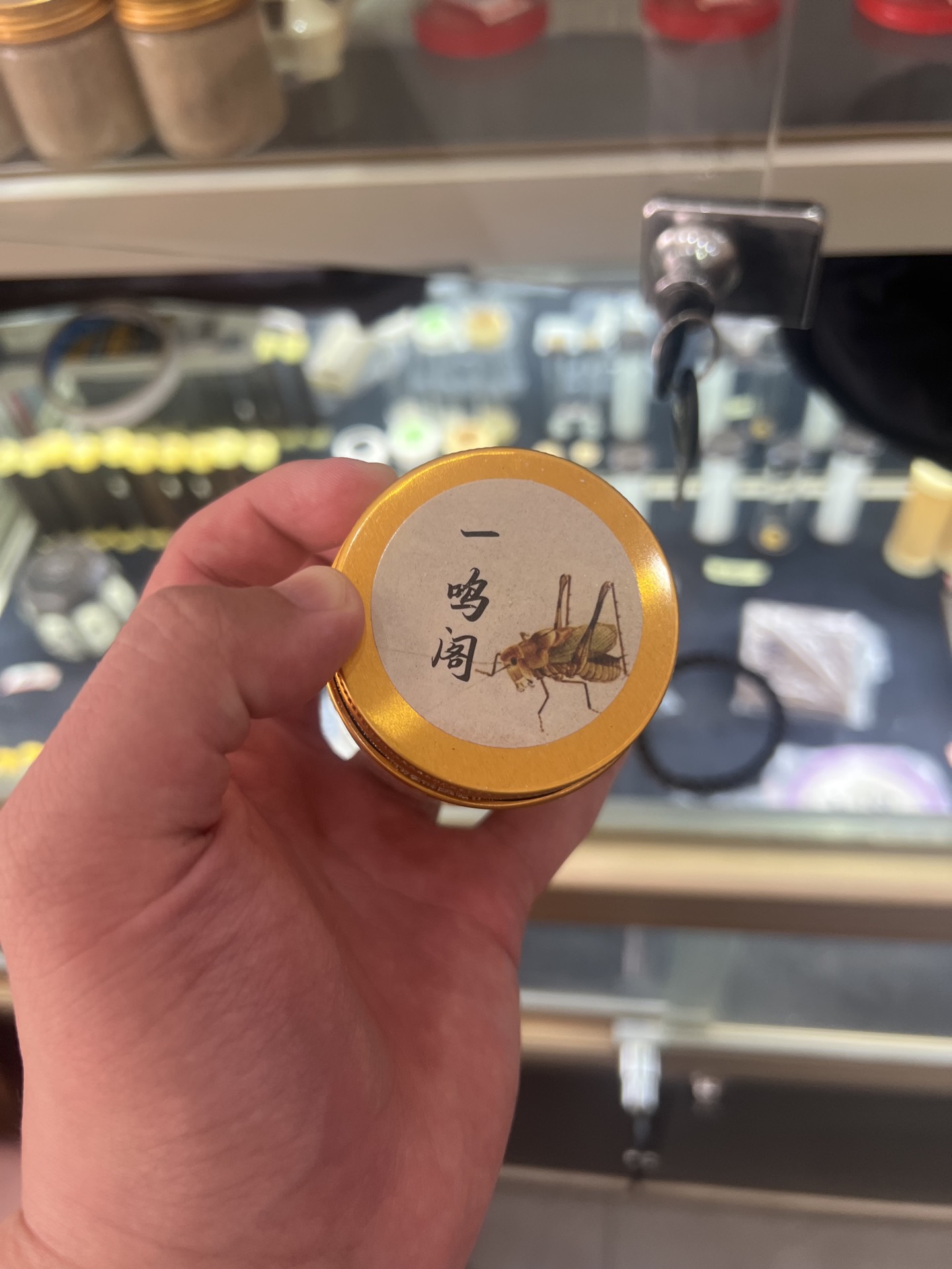 饲养各种鸣虫小伴侣