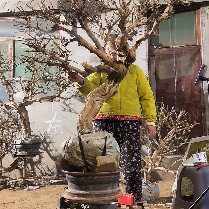 以实际为准8888888