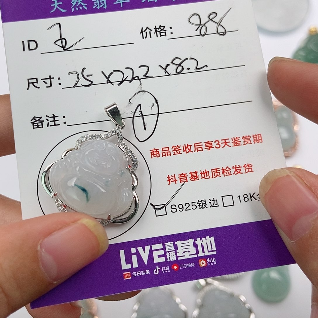 翡翠颈饰银S925镶嵌王*7翡翠