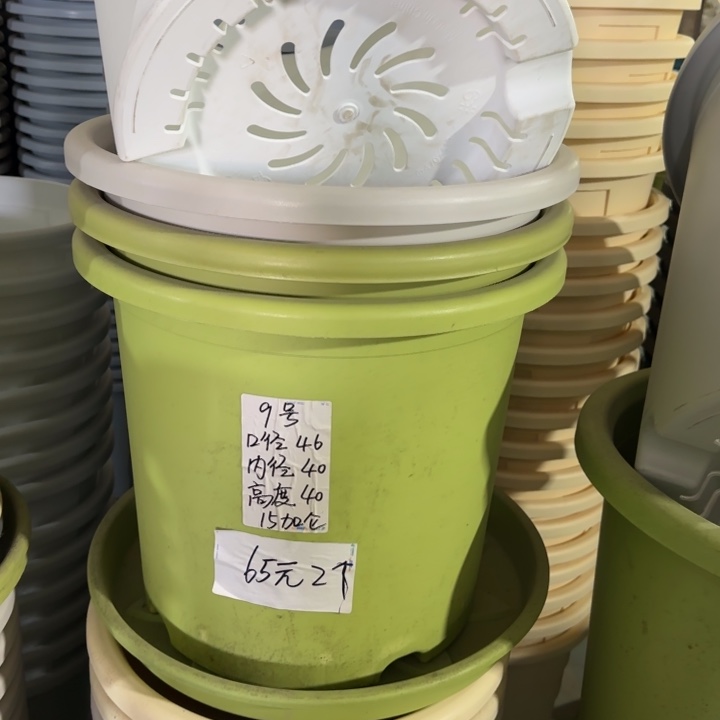 微瑕9#口径46无托米黄3个