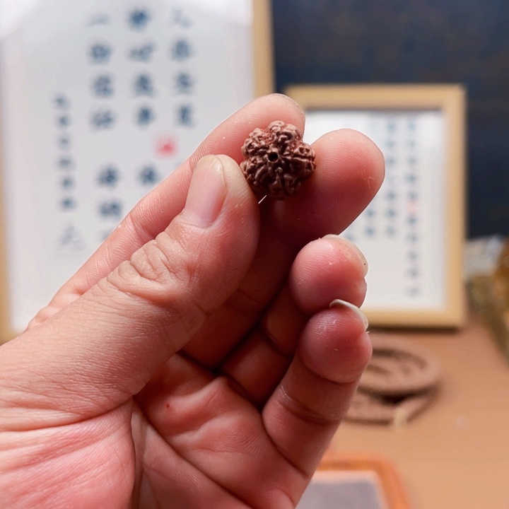 金刚菩提吊坠19尺寸原生态霸王花