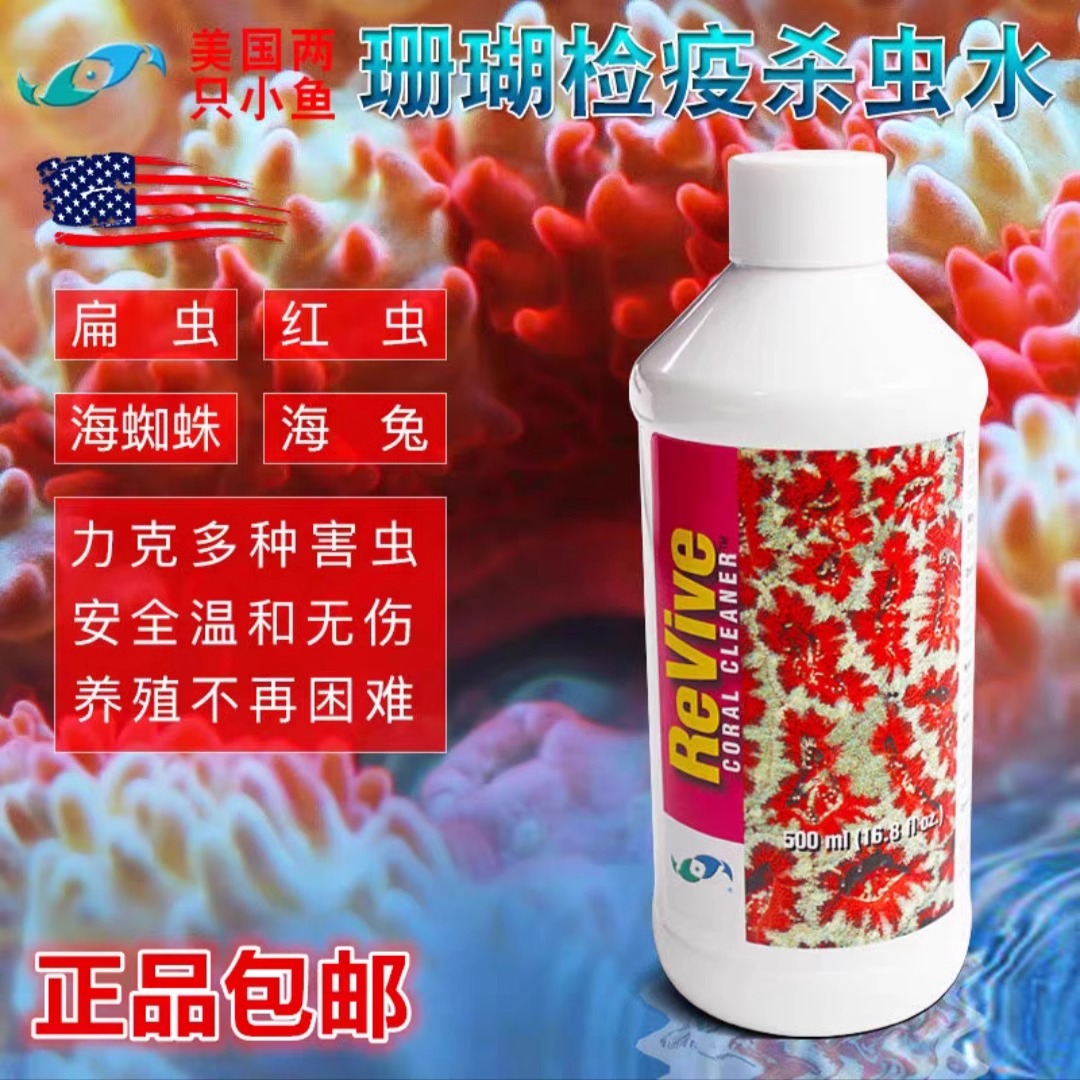 美国两只小鱼珊瑚检疫水SPS寄生虫海蜘蛛海缸珊瑚检疫