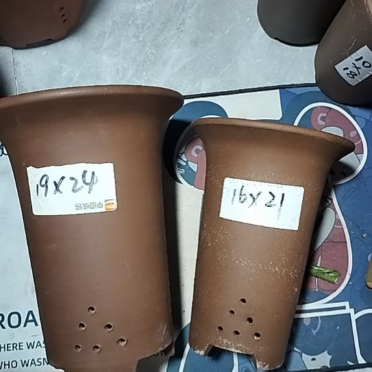 紫砂兰花盆两个紫砂花盆