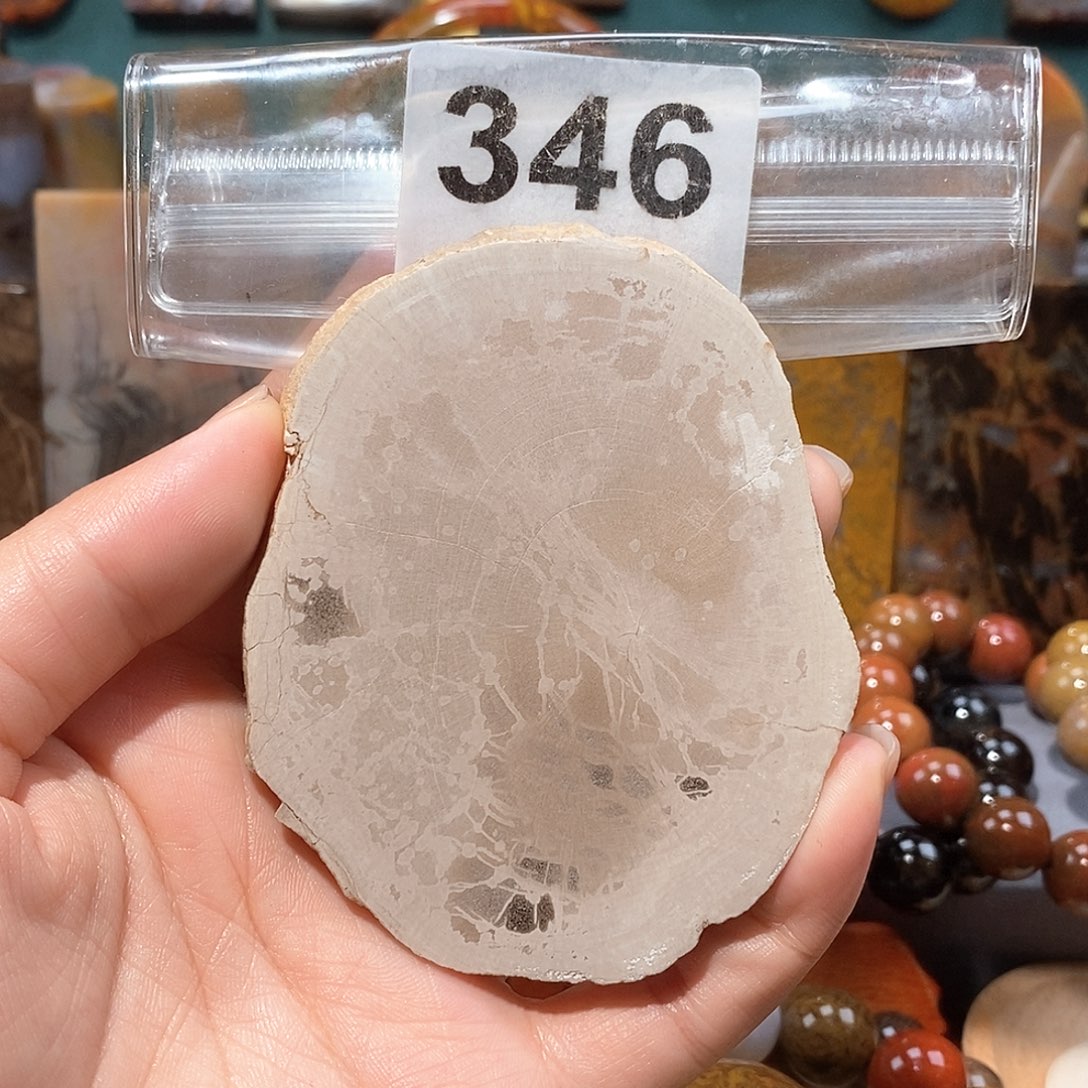 硅化玉天然北票硅化玉原石未镶嵌