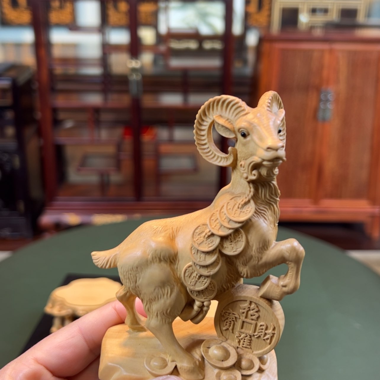 【闪购商品】黄杨木其他黄杨木