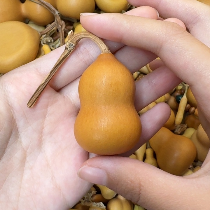 葫芦葫芦葫芦不包邮