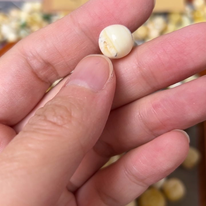 蜜蜡未镶嵌裸石9.9mm一个